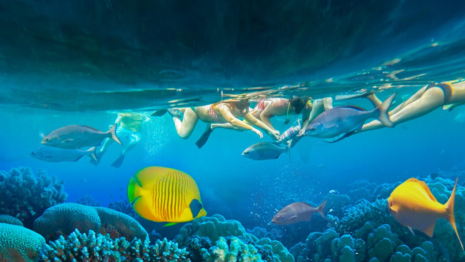 Snorkeling in kauai