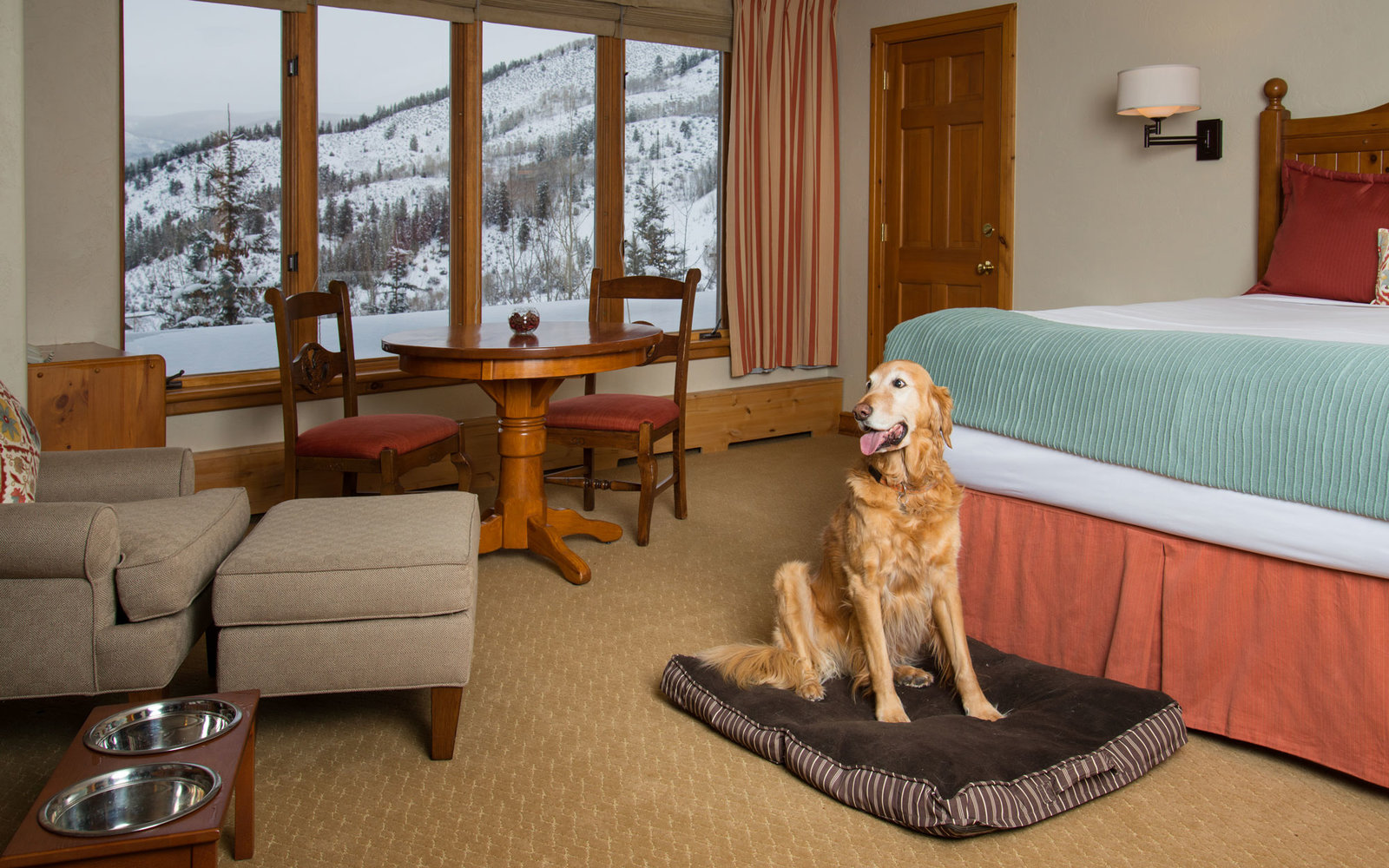 Some Of The Essentials Tips That Will Lead To The Best Pet-Friendly Vacations At Rentals