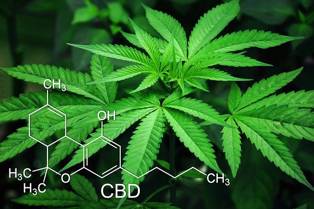 Medical Marijuana Dispensary – What is it?
